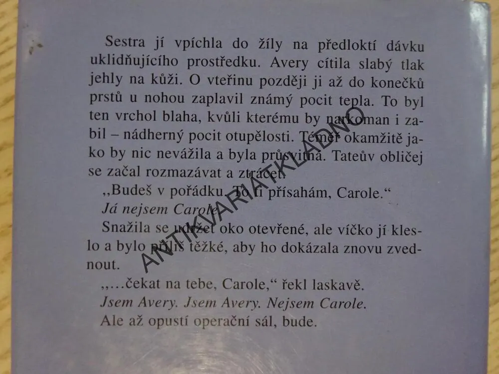 NEBEZPEČNÁ PODOBA, SANDRA BROWN, **an