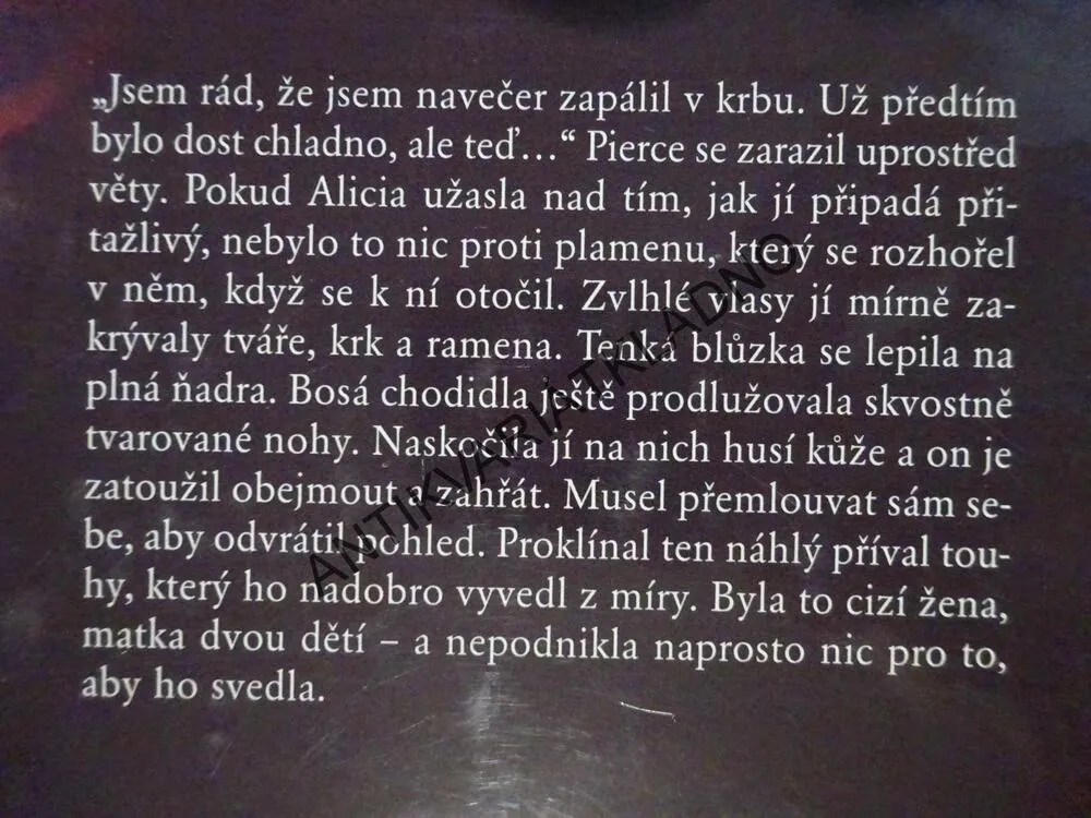 VEČEŘE V HORÁCH, SANDRA BROWN, **an