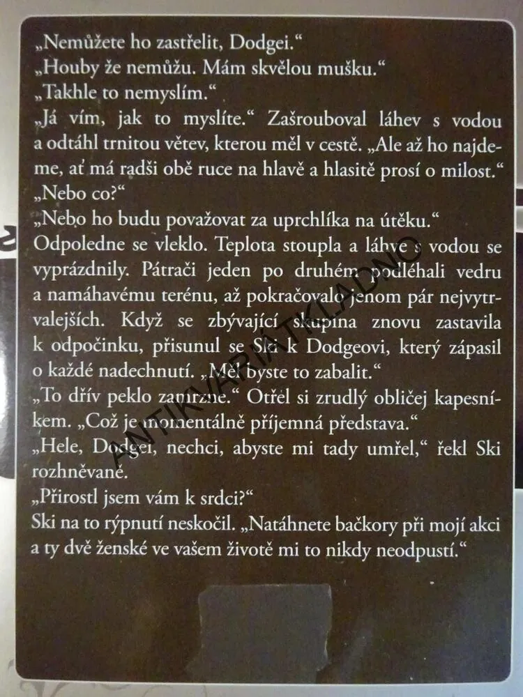 DRSNÝ CHLAP, SANDRA BROWN, **an