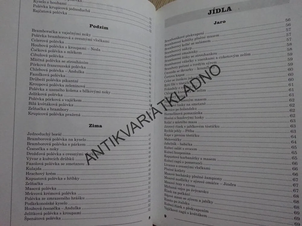 LIDI, TO JE ALE BAŠTA!, JIŘINA BOHDALOVÁ, LÍDA PĚNIČKOVÁ, **an