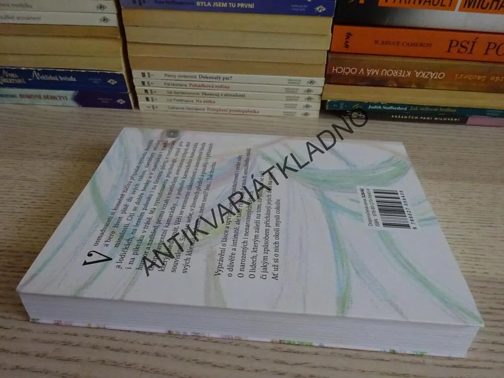 TAK TROCHU LESANA, VERONIKA HOTOVÁ RONCOVÁ, **an