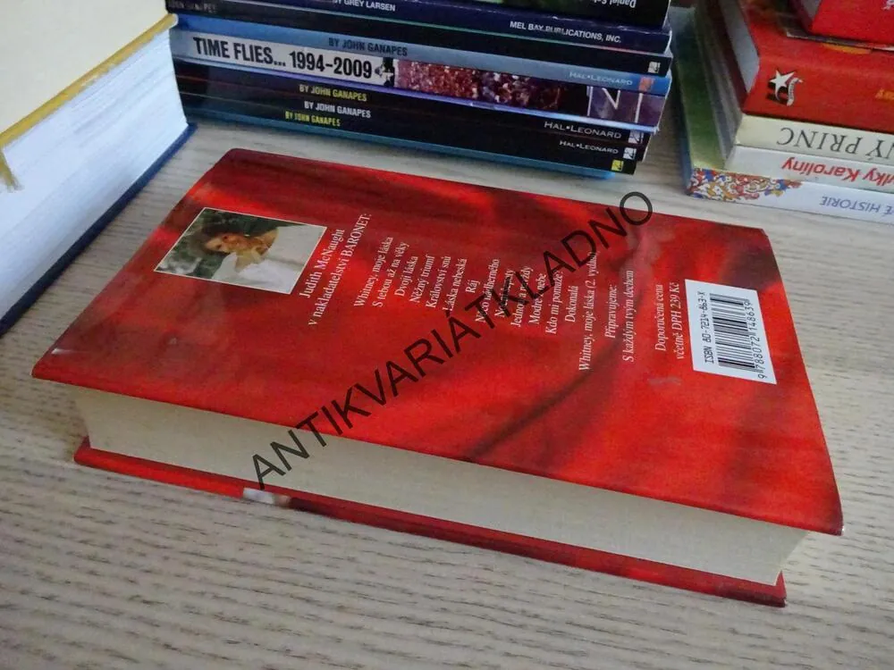 WHITNEY, MOJE LÁSKA, JUDITH MCNAUGHT, **an