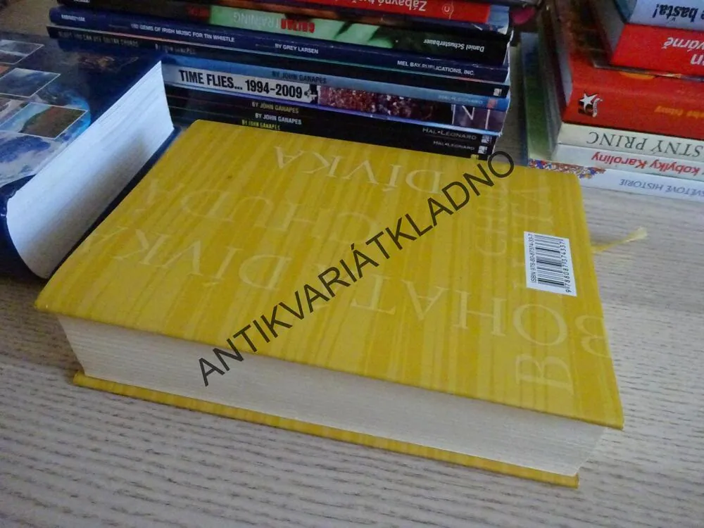 BOHATÁ DÍVKA, CHUDÁ DÍVKA, LESLEY LOKKO, **an