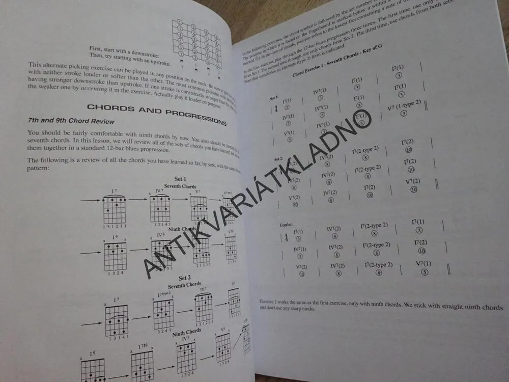 GUITAR CHORDS, CELKOVÝ PRŮVODCE UČENÍM NA BLUESOVOU KYTARU, KYTARA, AKORDY, ANGLICKY