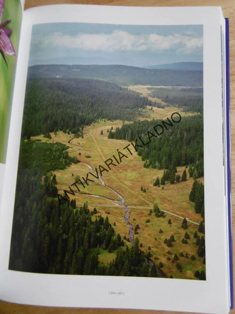 ŠUMAVOU VRCHOLY I ÚDOLÍMI, I.SVOBODA, ČESKO-NĚMECKY, ŠUMAVA