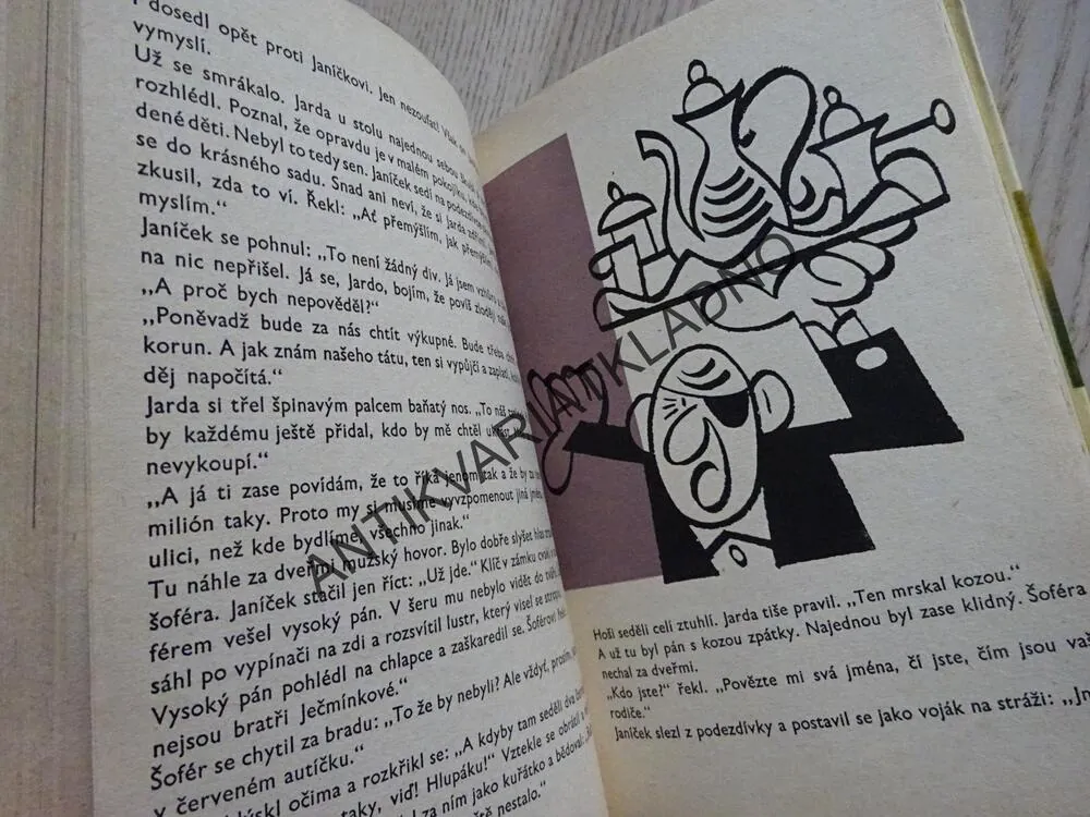 BOSÍ RYTÍŘI, OTA ŠAFRÁNEK, **an