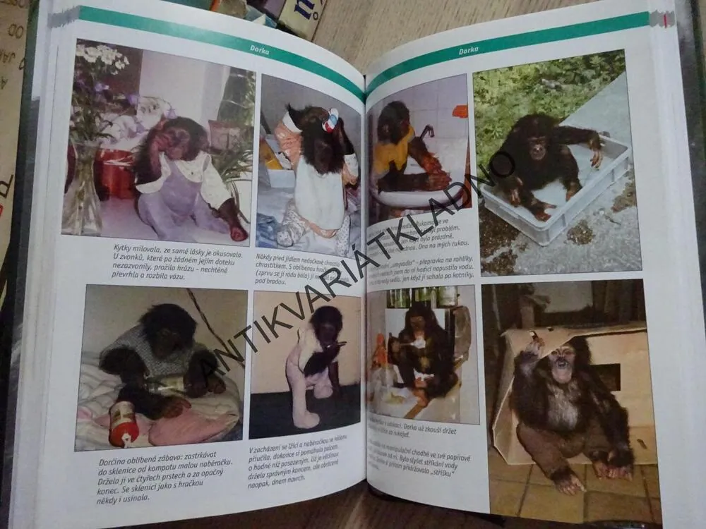 SE ŠIMPANZI VE DNE V NOCI, DENÍK OŠETŘOVATELKY V ZOO, IRENA GÁLOVÁ, ANASTÁZIA KOLÁROVÁ, **an