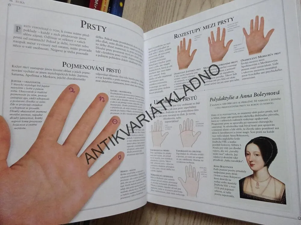 ČTENÍ Z RUKY, LORI REIDOVÁ, **an