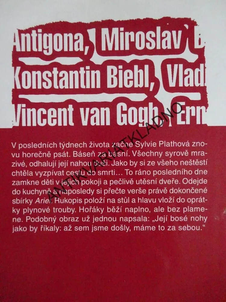 SEBEVRAŽDY SLAVNÝCH, LIBOR BUDINSKÝ, **an