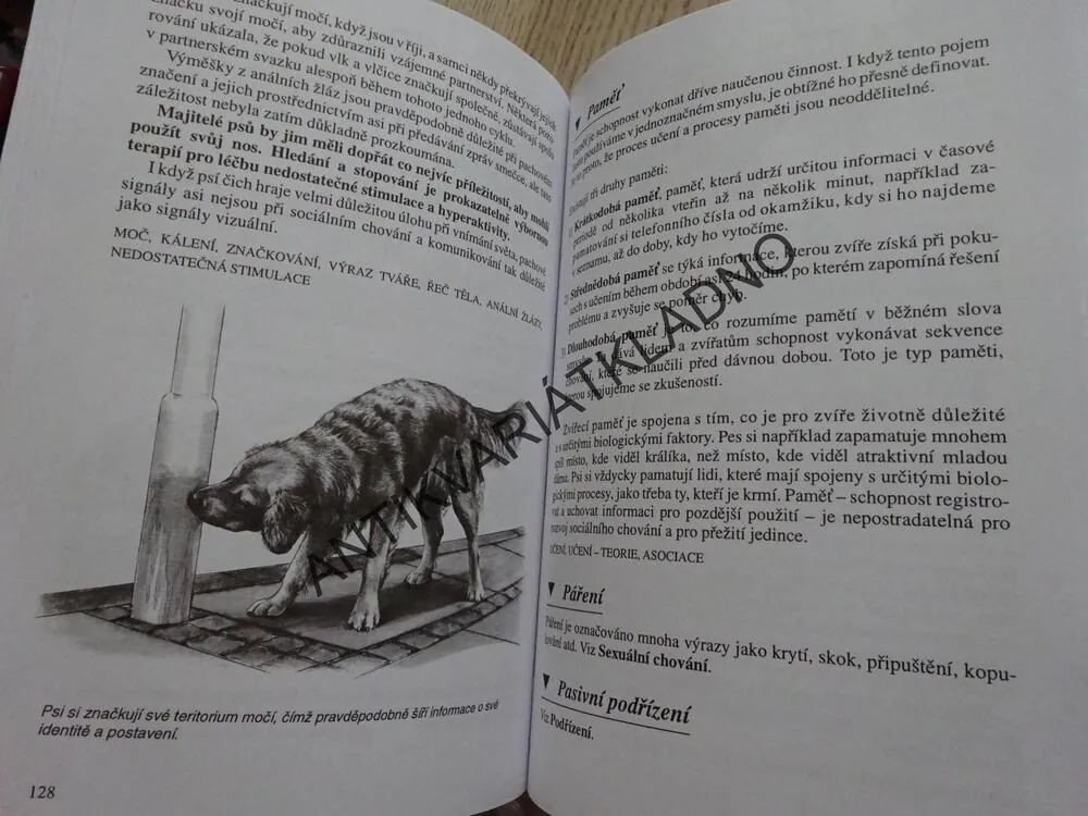 ŘEČ PSŮ, ROGER ABRANTES, **an
