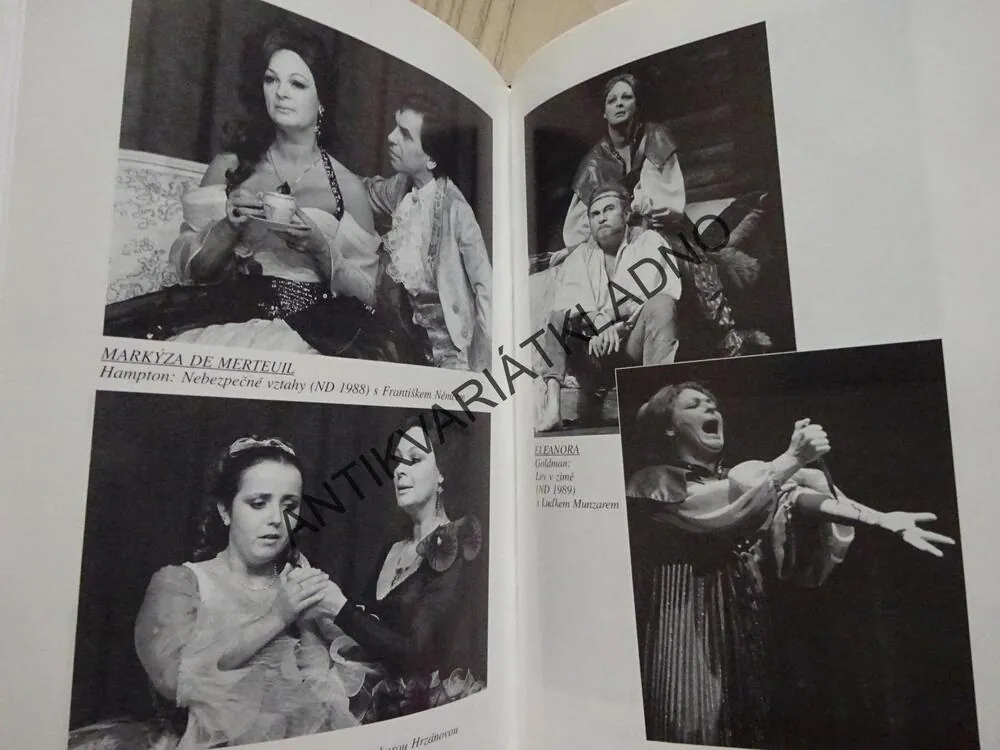 JANA HLAVÁČOVÁ, ŽENA V MNOŽNÉM ČÍSLE, HELENA SUCHAŘÍPOVÁ, **an