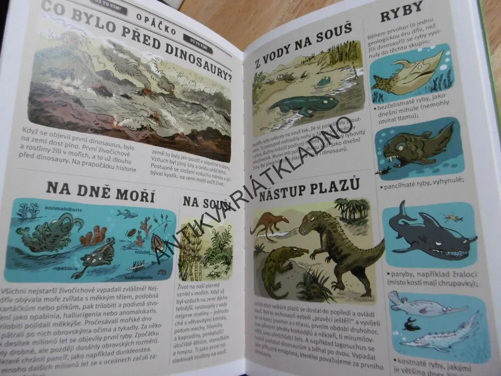DINOSAUŘI, UŽ TO VÍM! LAROUSSE, **an