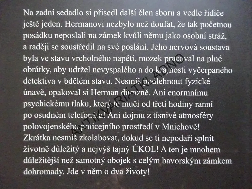 BAVORSKÝ PŘÍPAD, EVA BEŠŤÁKOVÁ, **an