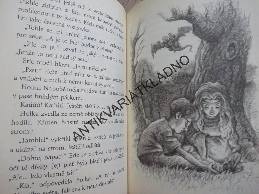 TAJEMSTVÍ ZEMĚ DRÚÚN, SKRYTÉ SCHODIŠTĚ A KOUZELNÝ KOBEREC, TONY ABBOTT, **an