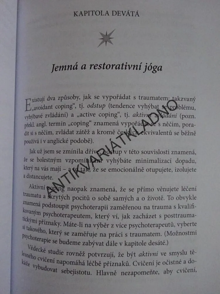 NENECHTE POHASNOUT SVOU JISKRU, DOREEN VIRTUE, **an