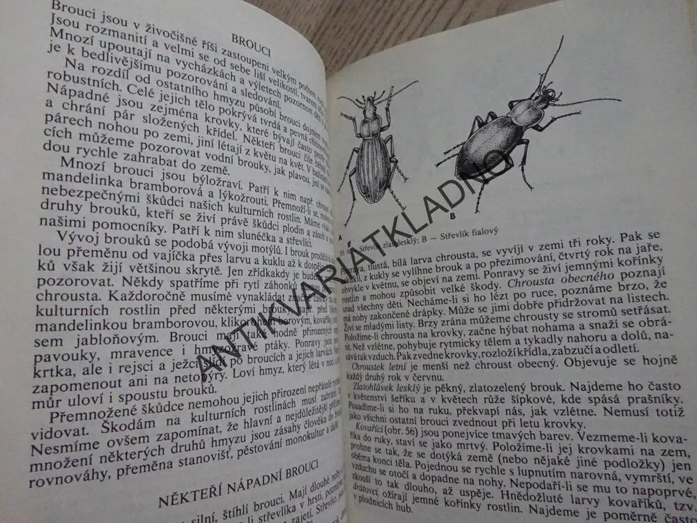 METODIKA SEZNAMOVÁNÍ DĚTÍ S PŘÍRODOU, **an