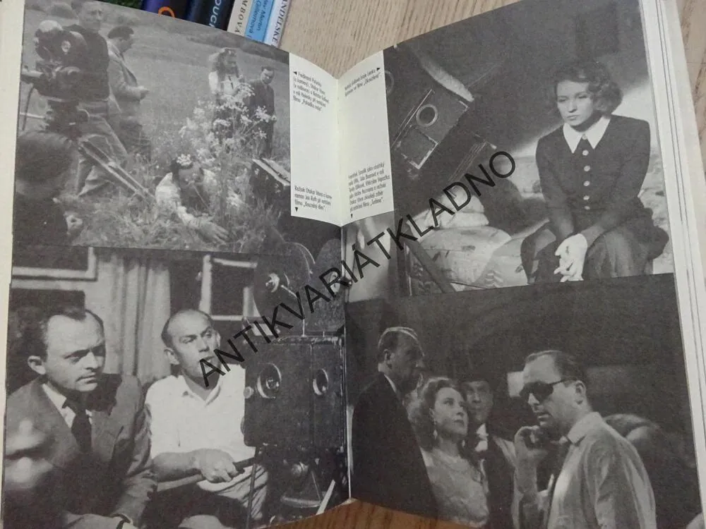 PODIVNÝ ŽIVOT REŽISÉRA, OTAKAR VÁVRA, **an