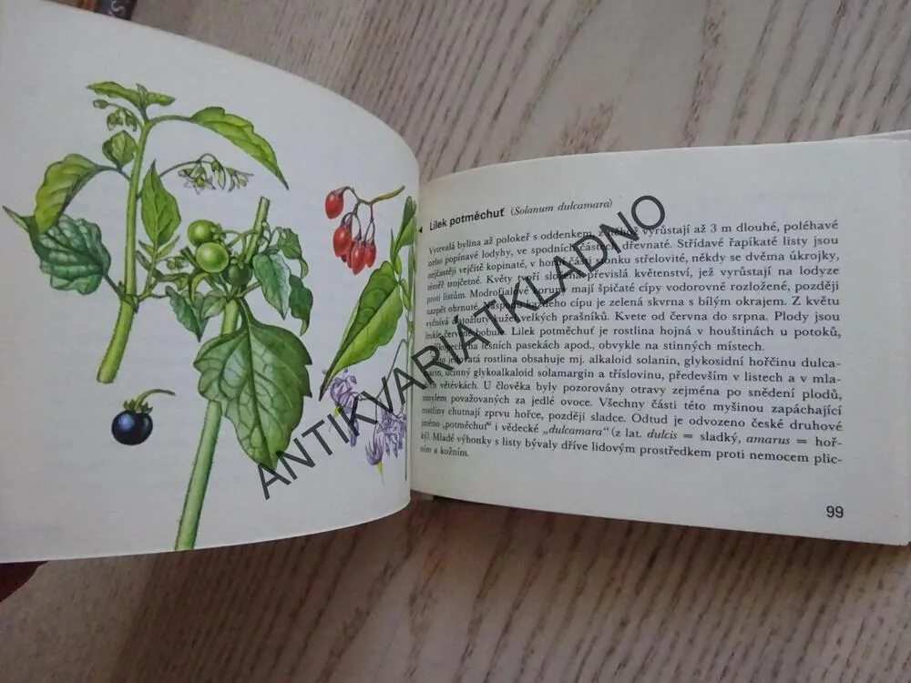 OKO 58 - NAŠE JEDOVATÉ ROSTLINY, NOVÁK, HÍSEK, **an