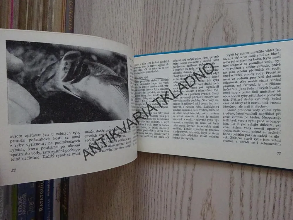 VODA RYBY RYBÁŘI, MILAN POHUNEK, **an