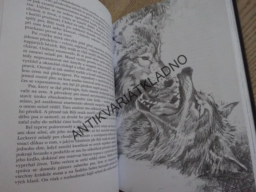 BÍLÝ TESÁK, JACK LONDON, **an