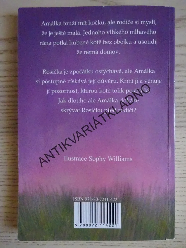 O ZTRACENÉ ROSIČCE, HOLLY WEBBOVÁ, **an