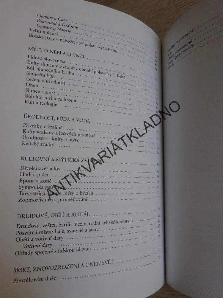 KELTSKÉ MÝTY, MIRANDA GREENOVÁ, BÁJNÁ MINULOST, **an
