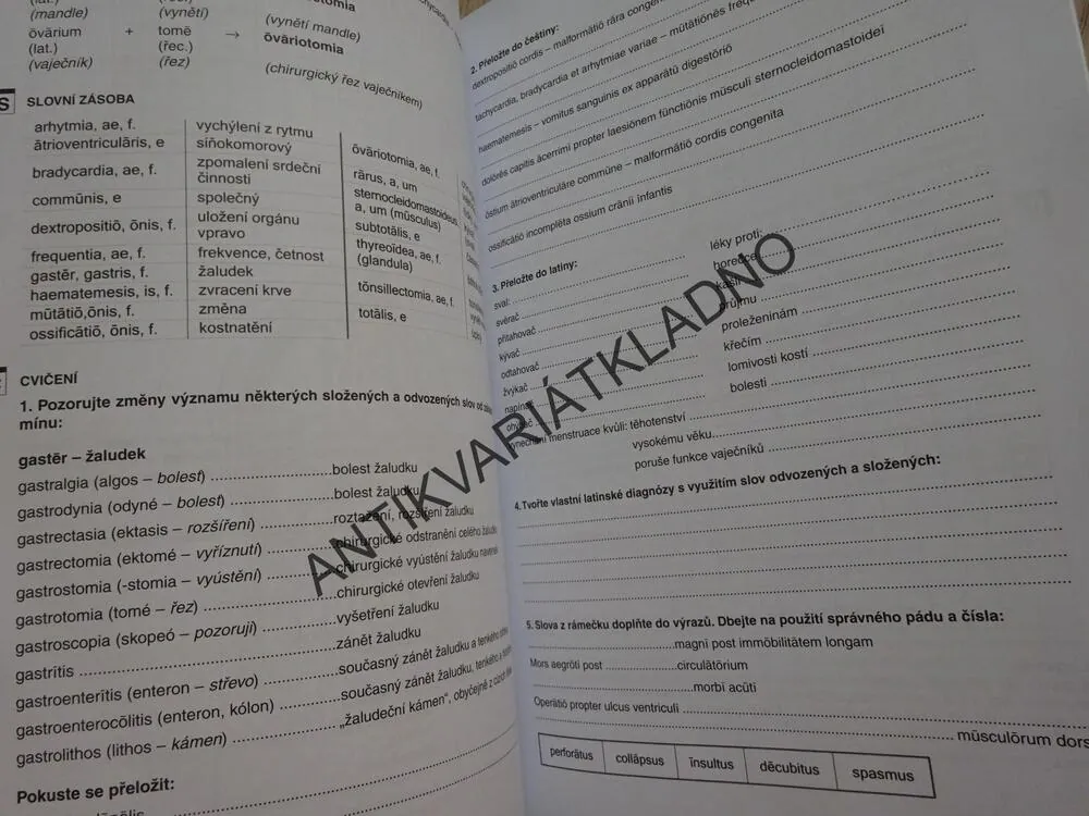LATINA, VLASTA SEINEROVÁ, **an