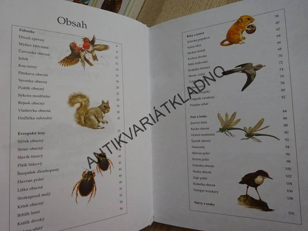 MOJE VELKÁ KNIHA ZVÍŘATA V PŘÍRODĚ, **an