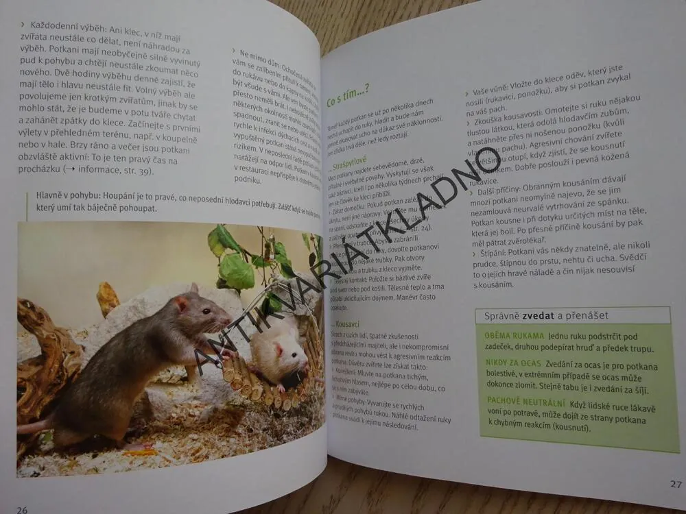 POTKAN, GERD LUDWIG,**an