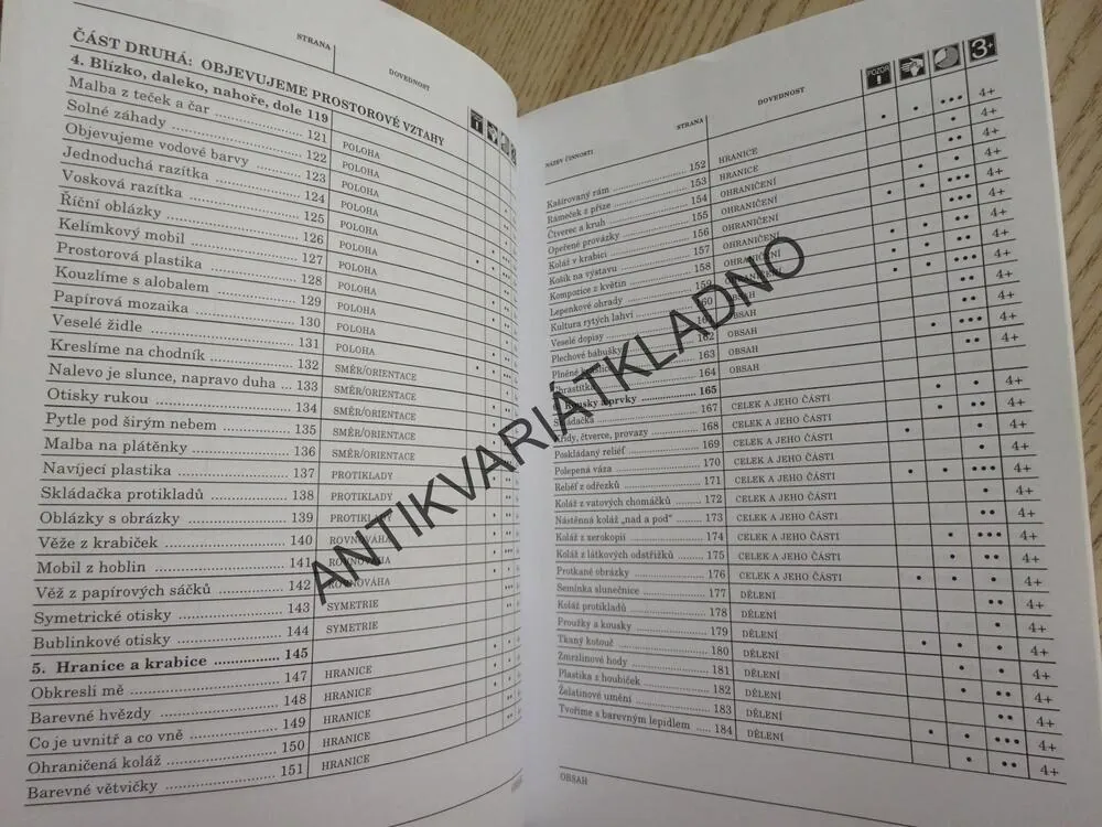 DALŠÍCH 199 VÝTVARNÝCH ČINNOSTÍ, MARYANN KOHLOVÁ, CINDY GAINEROVÁ, **an