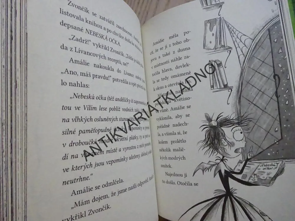 AMÁLIE ZUBATÁ A ZLODĚJ PAMĚTI, LAURA ELLEN ANDERSONOVÁ, **an