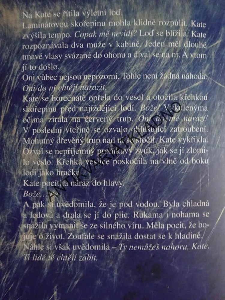 MODRÁ ZÓNA, ANDREW GROSS, **an