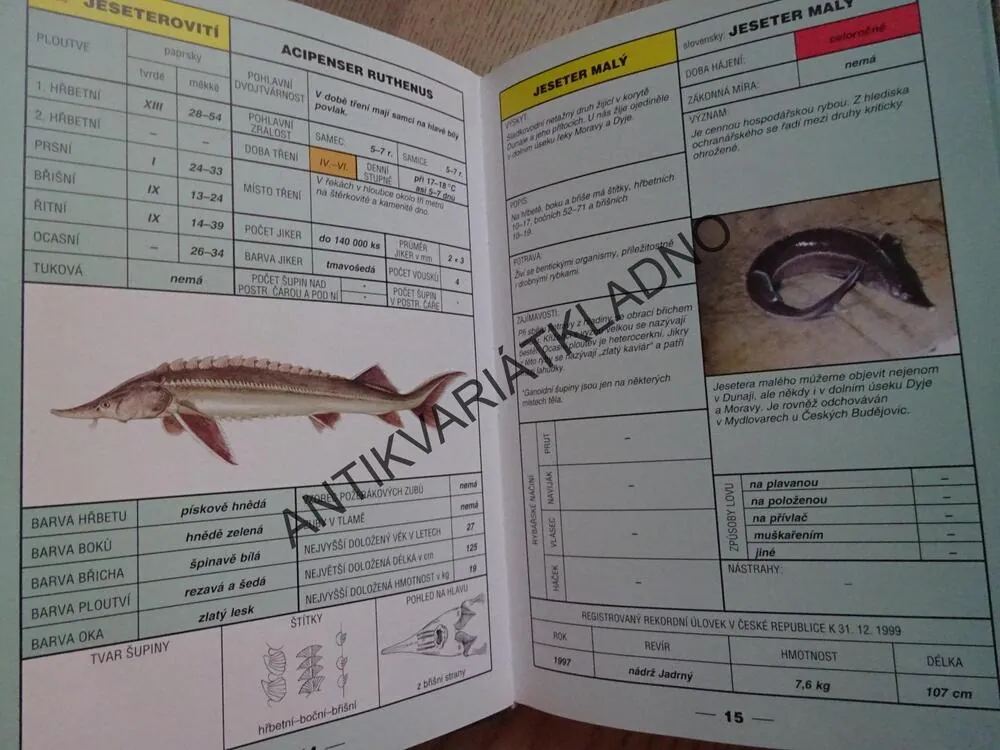 ATLAS NAŠICH RYB, OTTO POSPÍŠIL, **an