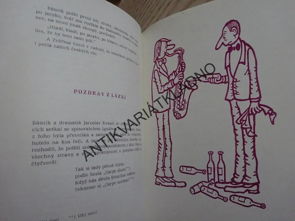 PŘÍPITEK S DIONÝSEM, JINDŘICH HAUFT, NEPRAKTA, **an