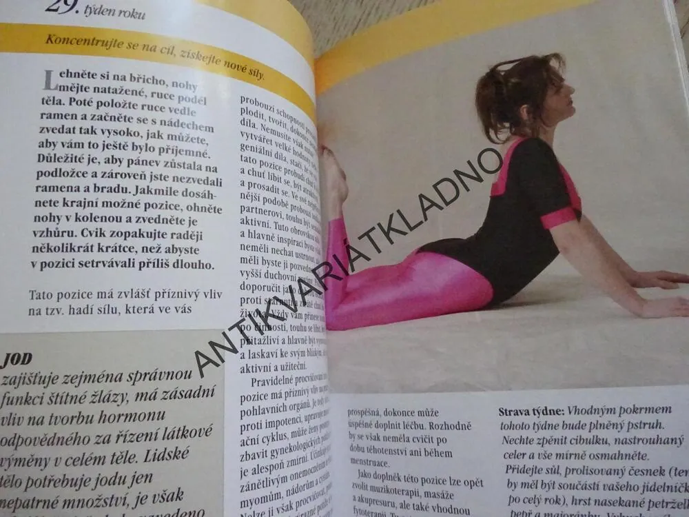 JÓGA PODLE ROČNÍCH OBDOBÍ, OLGA KRUMLOVSKÁ, **an