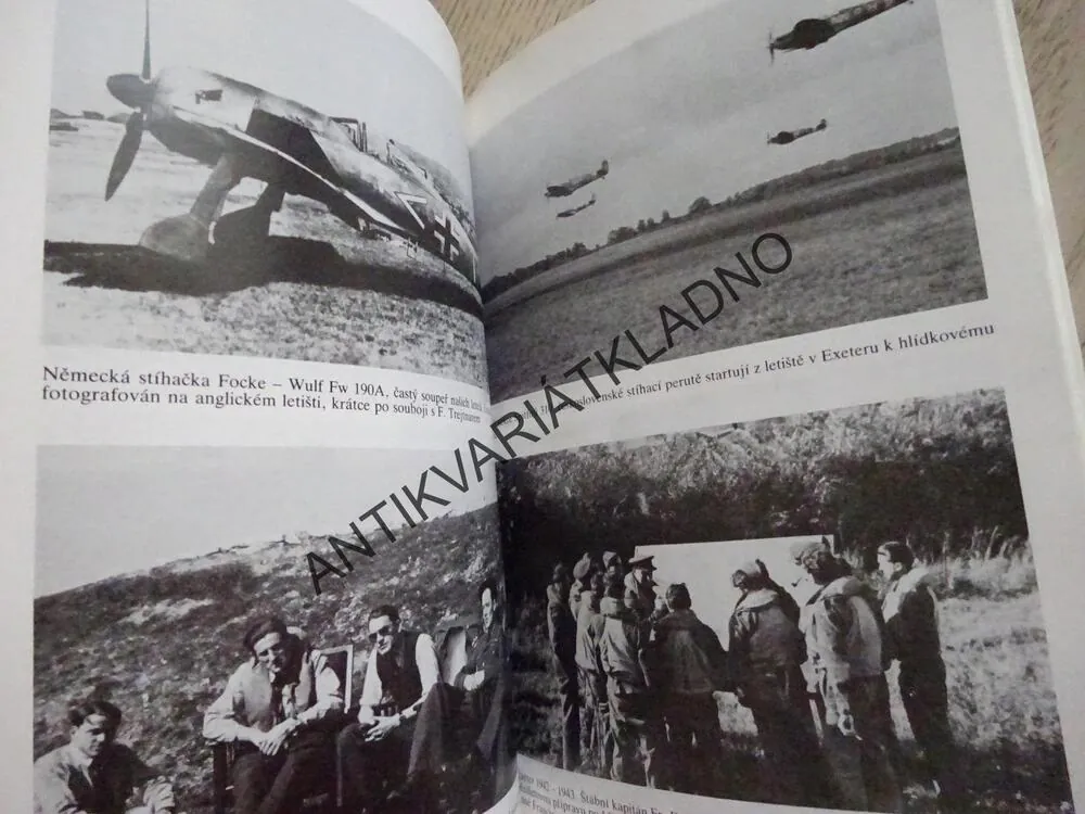 STÍHACÍ PILOT, JIŘÍ RAJLICH, JIŘÍ SEHNAL, **an 