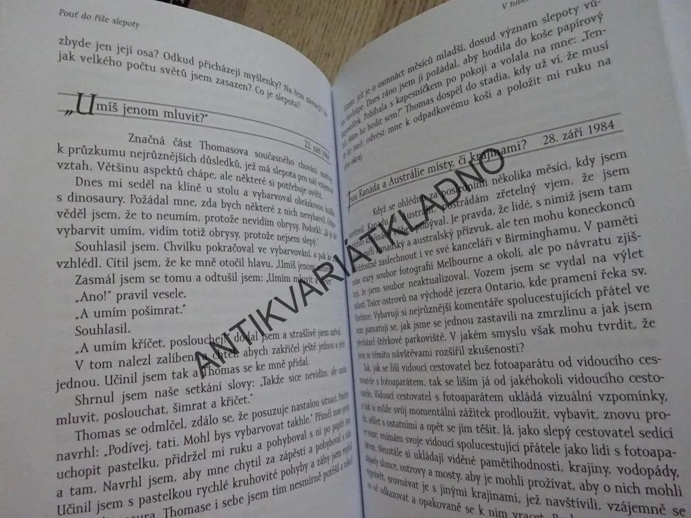 POUŤ DO ŘÍŠE SLEPOTY, DENÍKY PÁDU DO VĚDOMÍ, JOHN M. HULL, **an