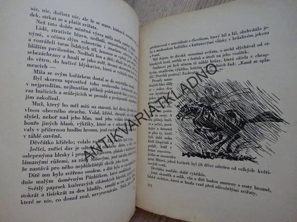 OSEL FILOSOF, JOS. HAIS TÝNECKÝ, O. ŠTÁFL, **an