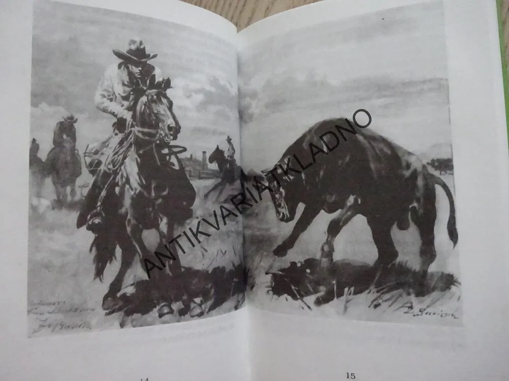 BÍLÝ BUVOL, WARREN H. MILLER, BURIAN, **an