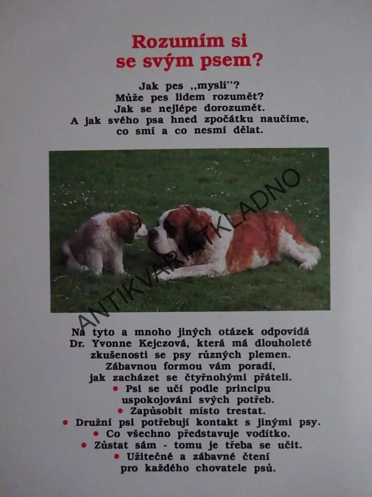 ROZUMÍM SI SE SVÝM PSEM?, YVONNE KEJCZOVÁ, **an