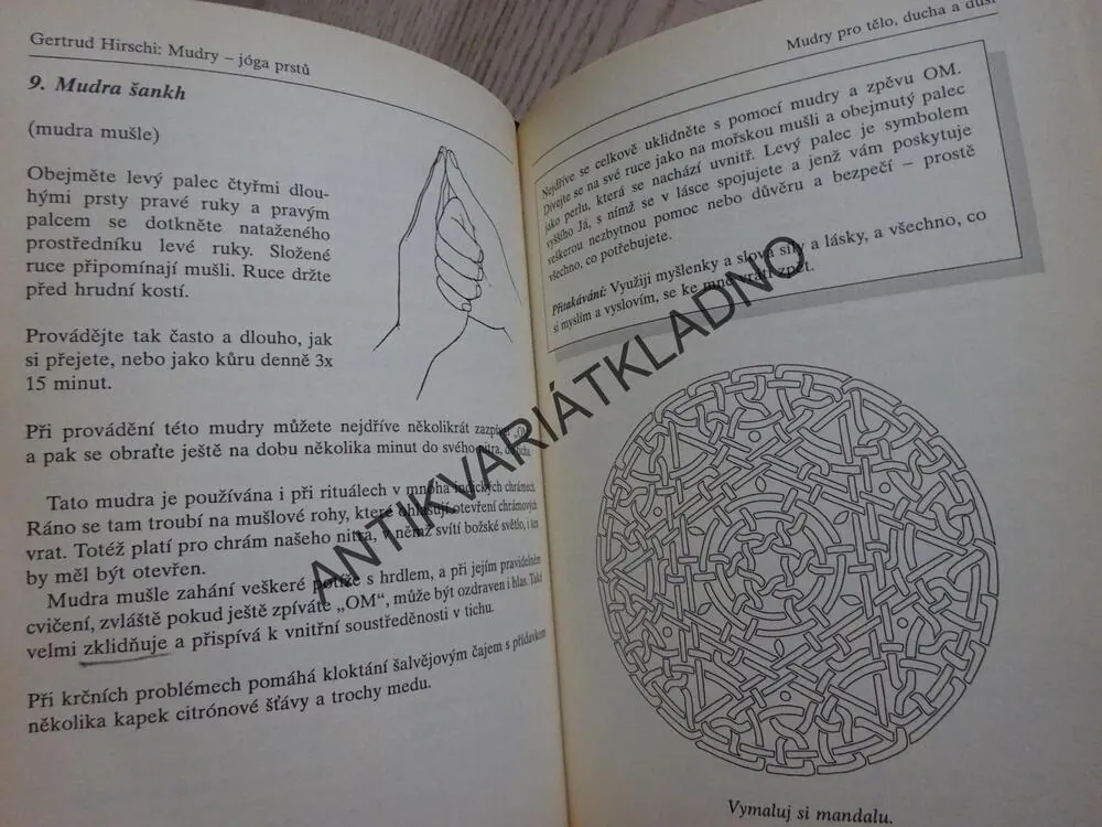 JÓGA PRSTŮ, GERTRUD HIRSCHI, **an