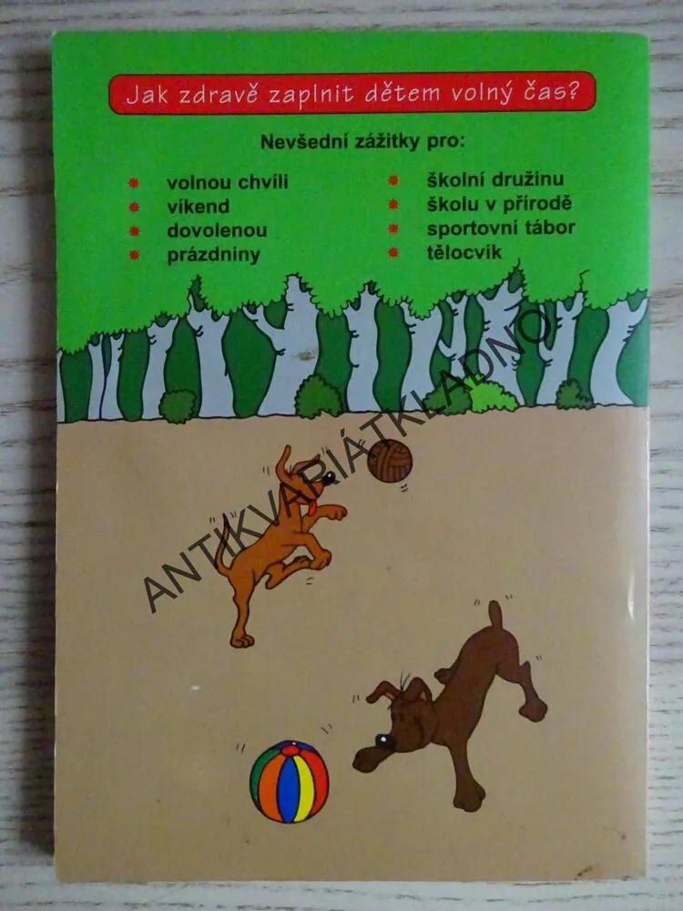 69 NEJLEPŠÍCH HER PRO DĚTI VENKU, **an