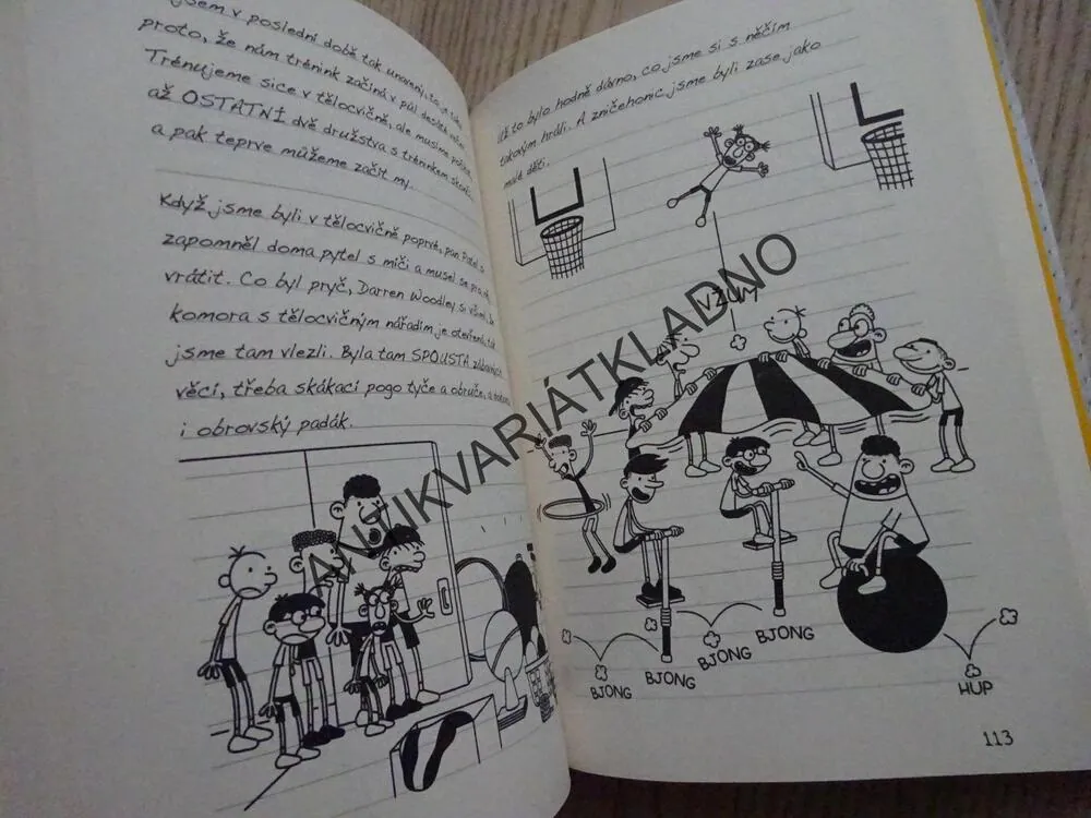 DENÍK MALÉHO POSEROUTKY, 16, VELKÁ ŠANCE, JEFF KINNEY, **an