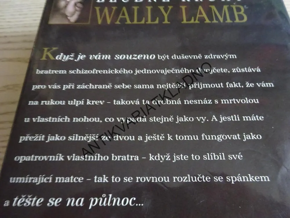 BLUDNÉ KRUHY, WALLY LAMB, **an