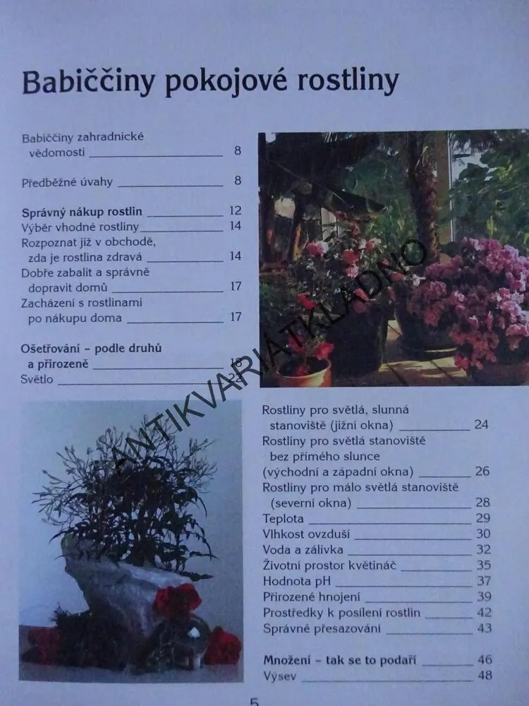 BABIČČINY POKOJOVÉ ROSTLINY, SIGRID HEUEROVÁ, **an