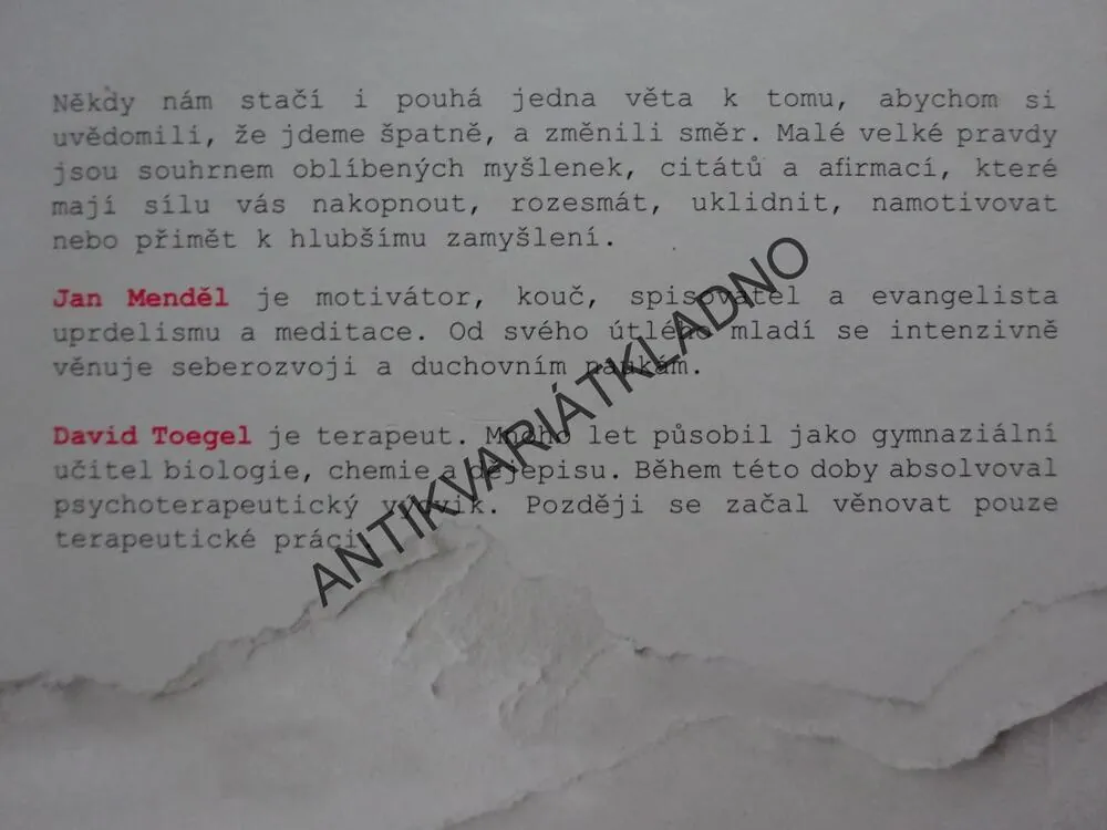 MALÉ VELKÉ PRAVDY, JAN MENDĚL, DAVID TOEGEL, **an