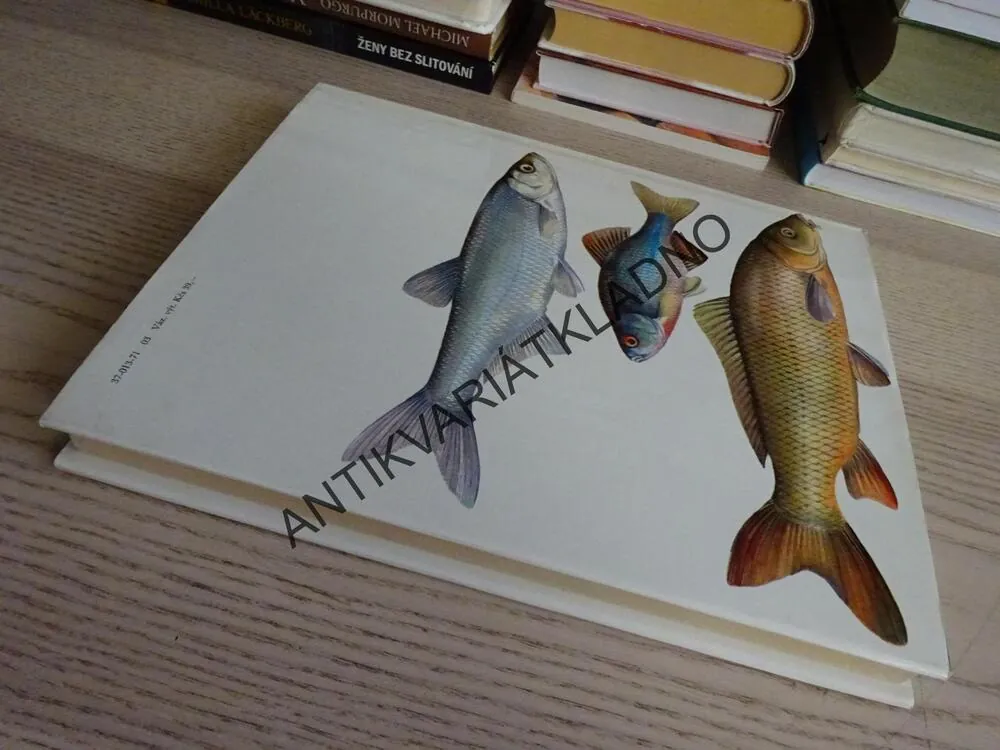 SLADKOVODNÍ RYBY, HOLČÍK, MIHÁLIK, **an