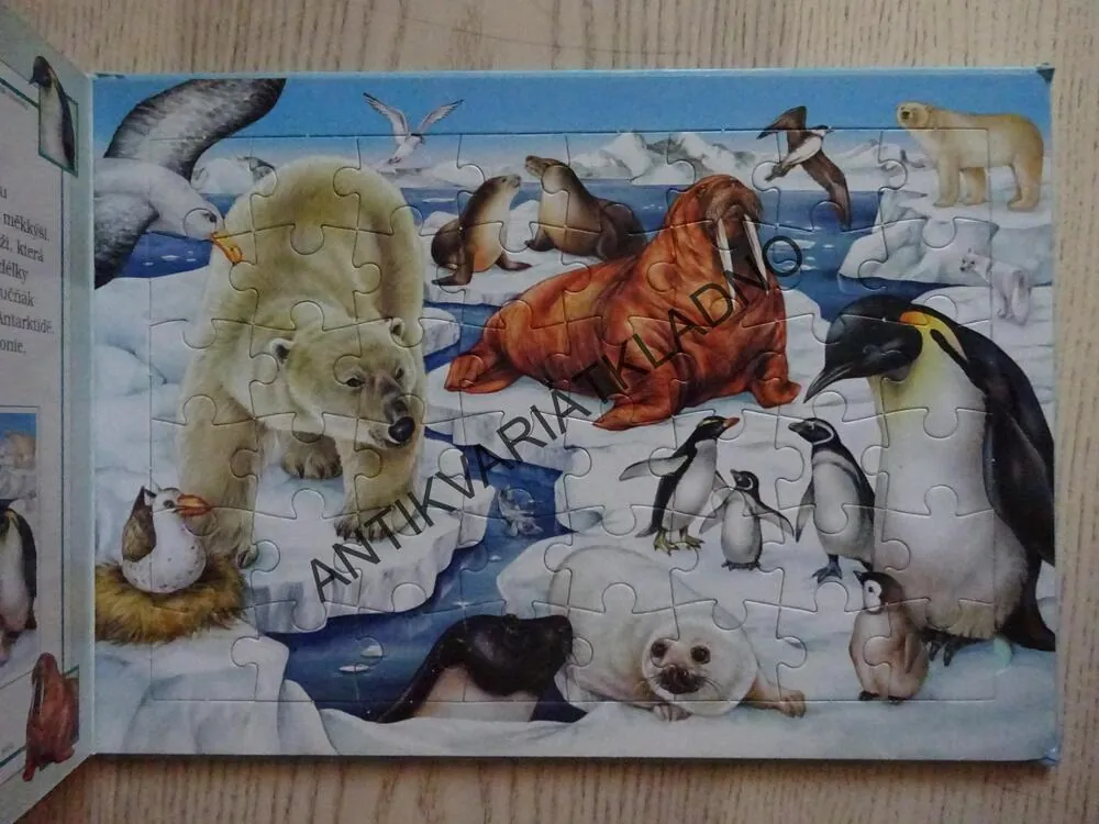 SVĚT MOŘÍ A OCEÁNŮ, LEE KRUTOP, **an