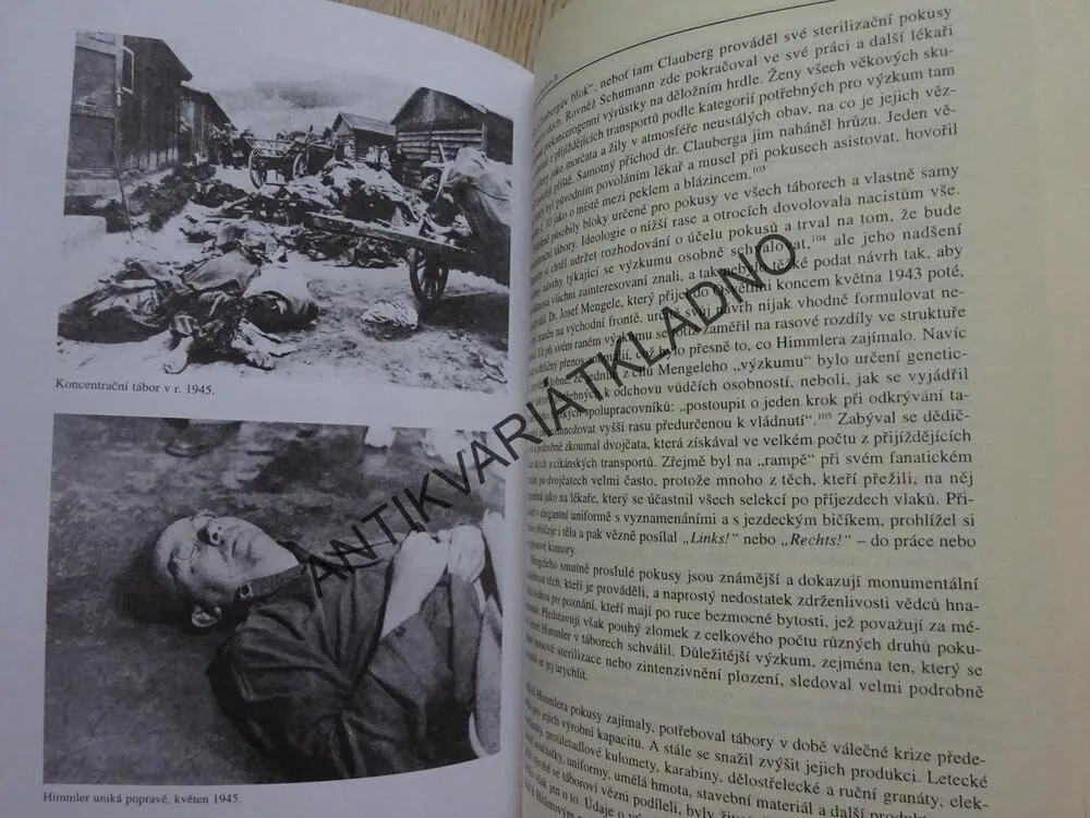 HEINRICH HIMMLER, REICHSFUHRER, PETER PADFIELD, **an