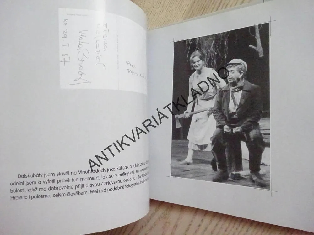 BRÓĎA VE FOTOGRAFIÍCH A VZPOMÍNÁNÍ PETRA NAŠICE, VLASTIMIL BRODSKÝ, MIROSLAVA BESSEROVÁ, **an